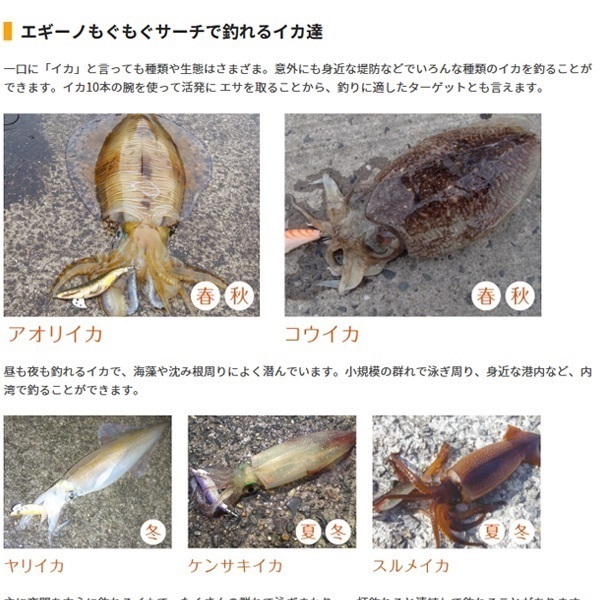 エギーノもぐもぐサーチ3．2